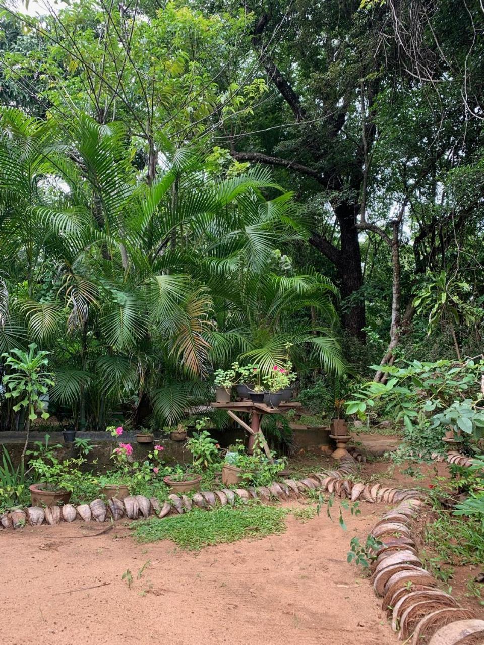Manju Homestay Sigiriya Luaran gambar