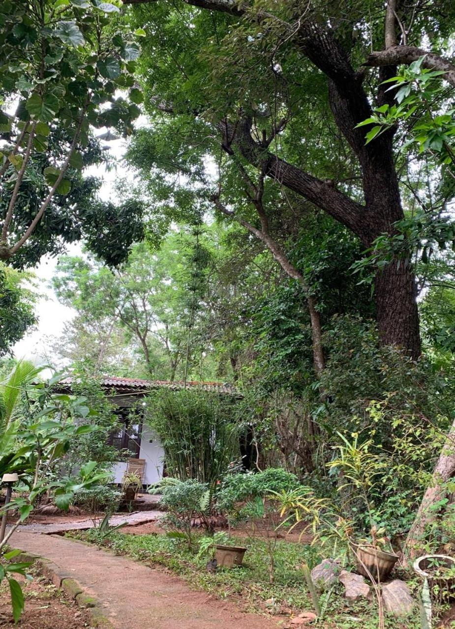 Manju Homestay Sigiriya Luaran gambar
