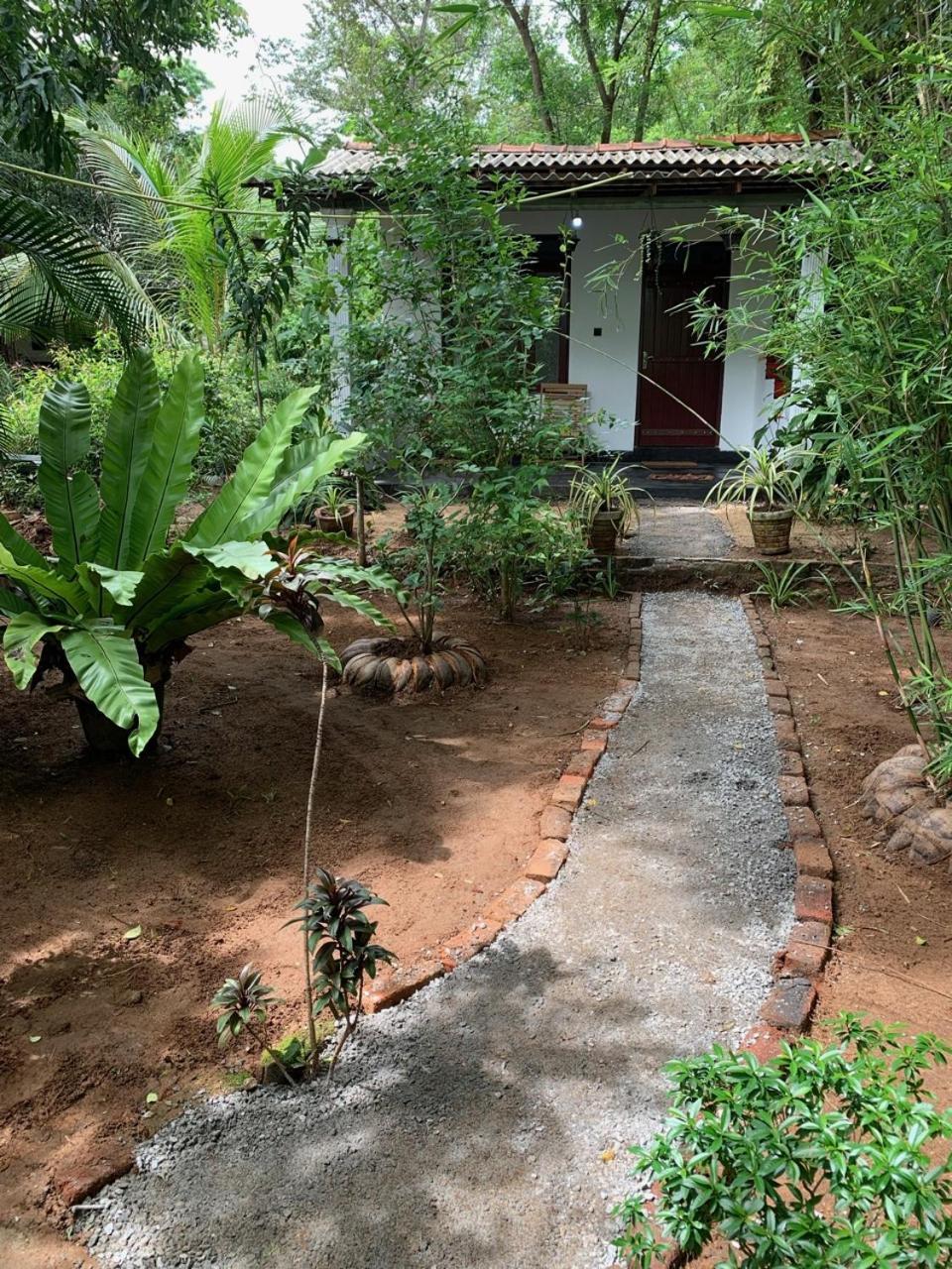 Manju Homestay Sigiriya Luaran gambar
