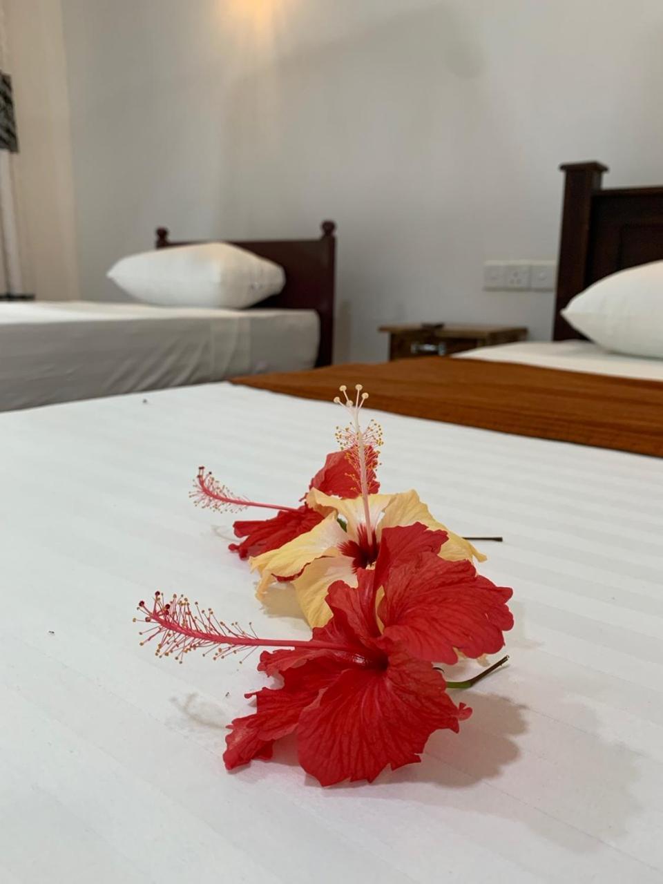 Manju Homestay Sigiriya Luaran gambar