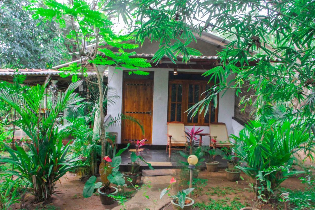 Manju Homestay Sigiriya Luaran gambar