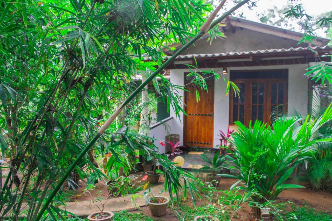 Manju Homestay Sigiriya Luaran gambar